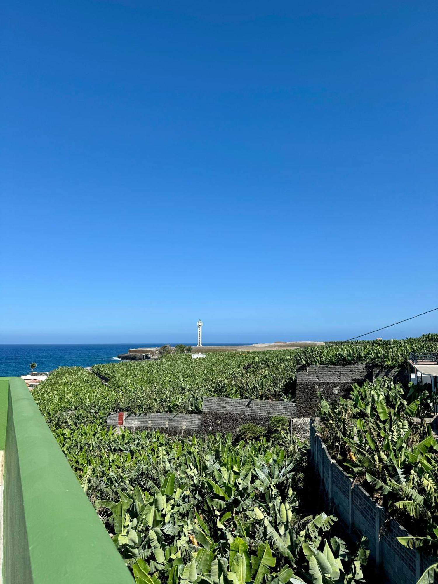 شقة Mangos Mar B بْوُرتو ناوُس المظهر الخارجي الصورة